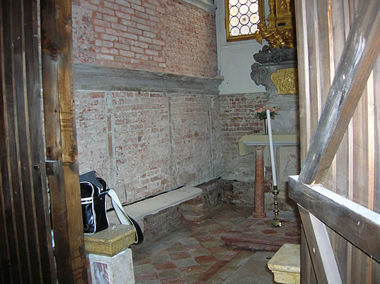 Dorsali lignei